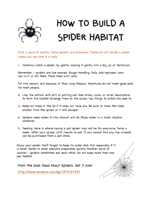 How to Build a Spider Habitat